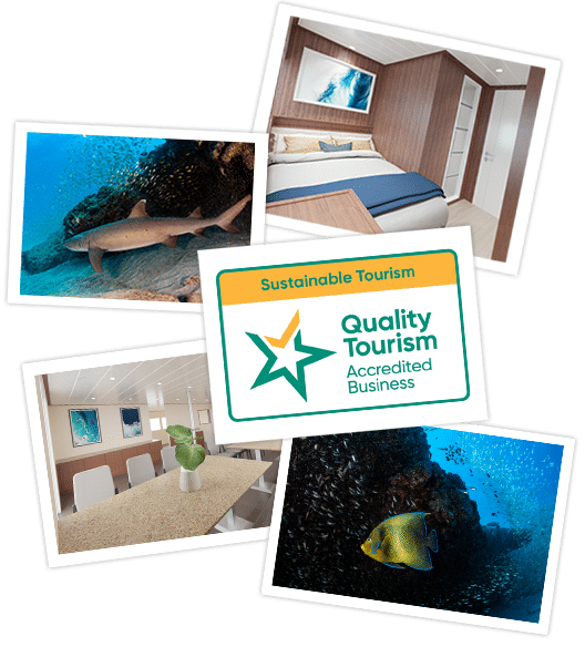 Dive Ningaloo - Tripadvisor Certificate of Excellence